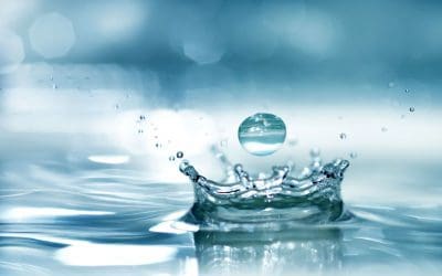 4 Tips to Conserve Water This Summer