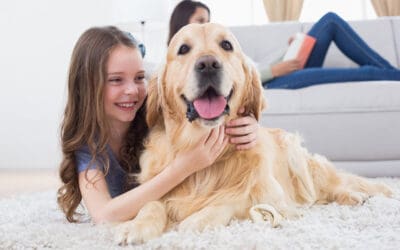 Built for Real Life: Family-Friendly Improvements Every Home With Kids Needs