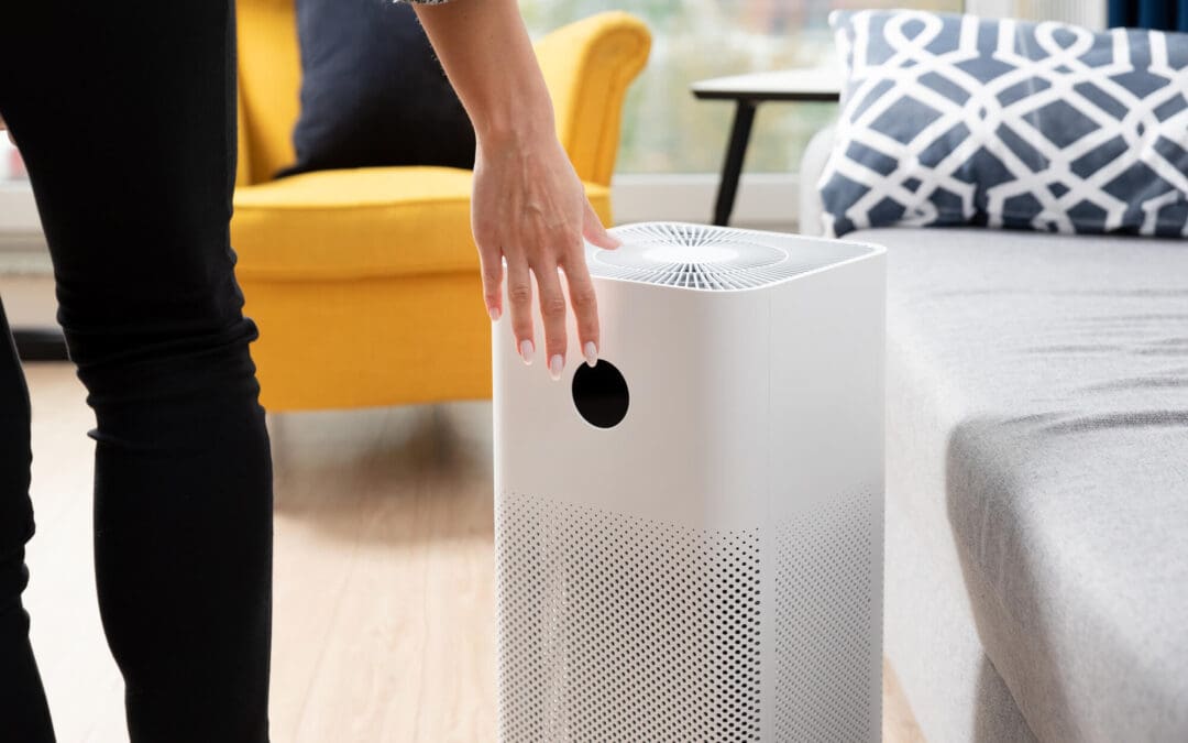 Breathe Easier at Home: A Practical Guide to Allergy-Proofing Your Home