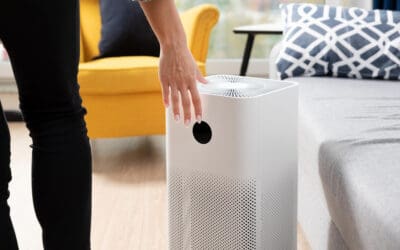 Breathe Easier at Home: A Practical Guide to Allergy-Proofing Your Home